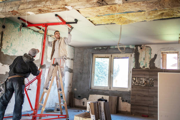 Best Insulation Installation Services in Diand, MO